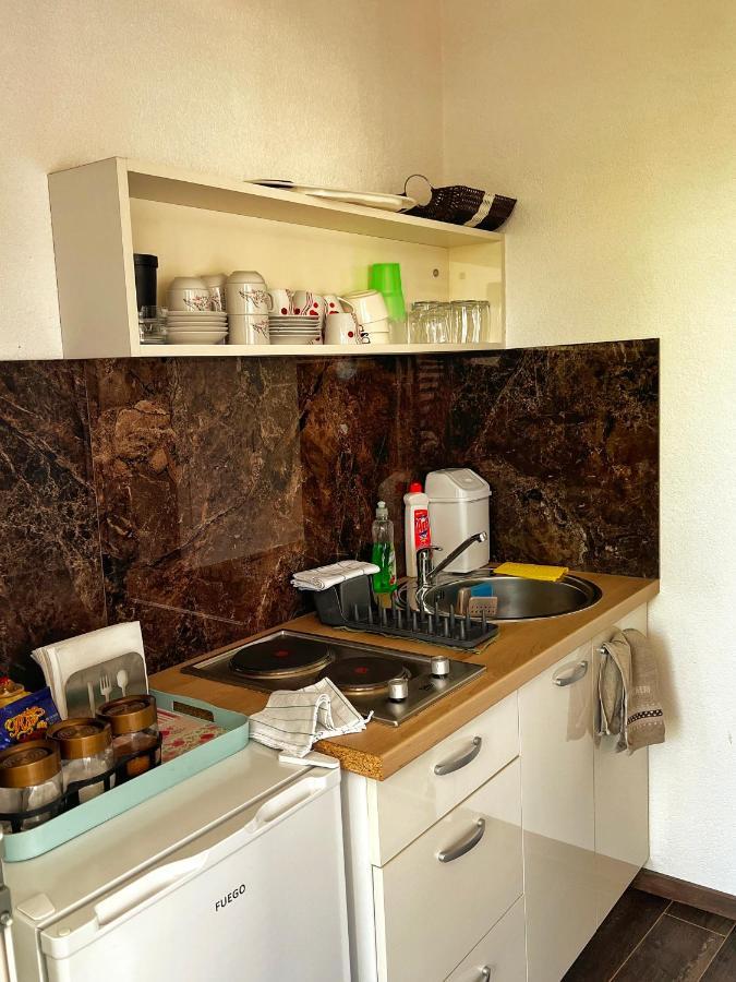 Apartment Dimeski Ohrid Extérieur photo